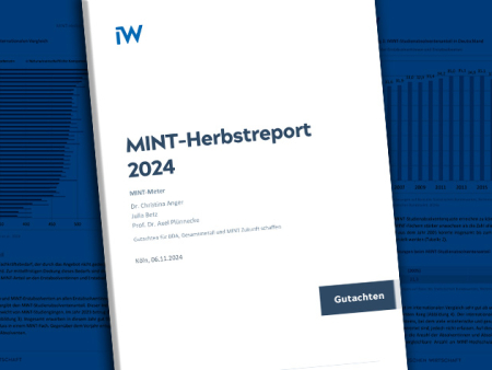 MINT-Herbstreport 2024