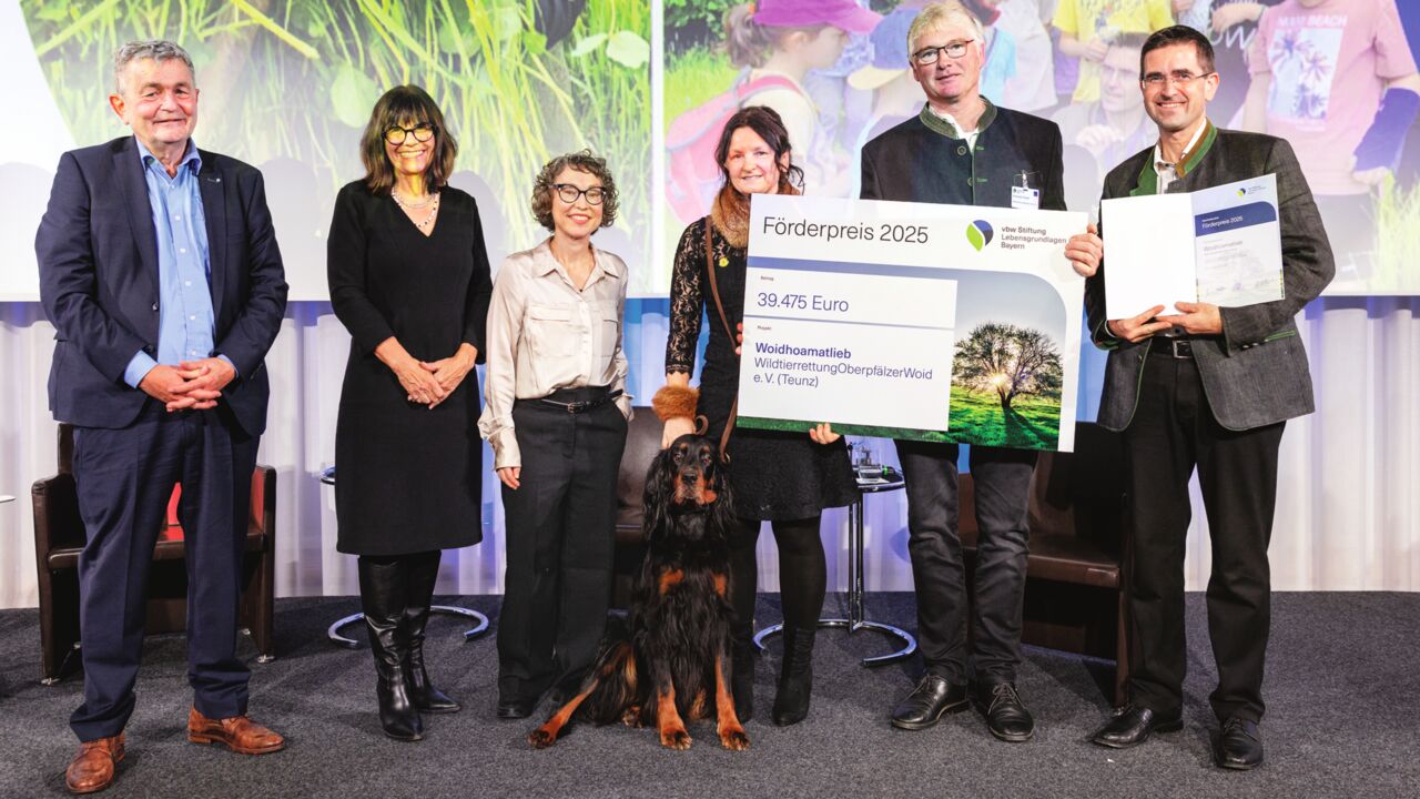 Nachhaltigkeit: Diese Projekte fördert die Stiftung Lebensgrundlagen Bayern